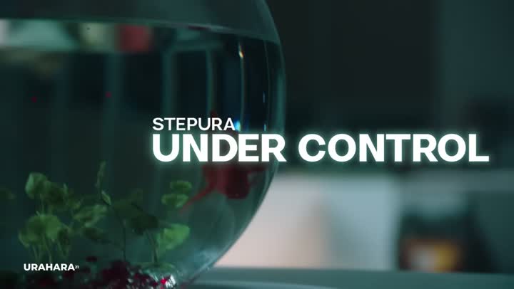 STEPURA — Under Control